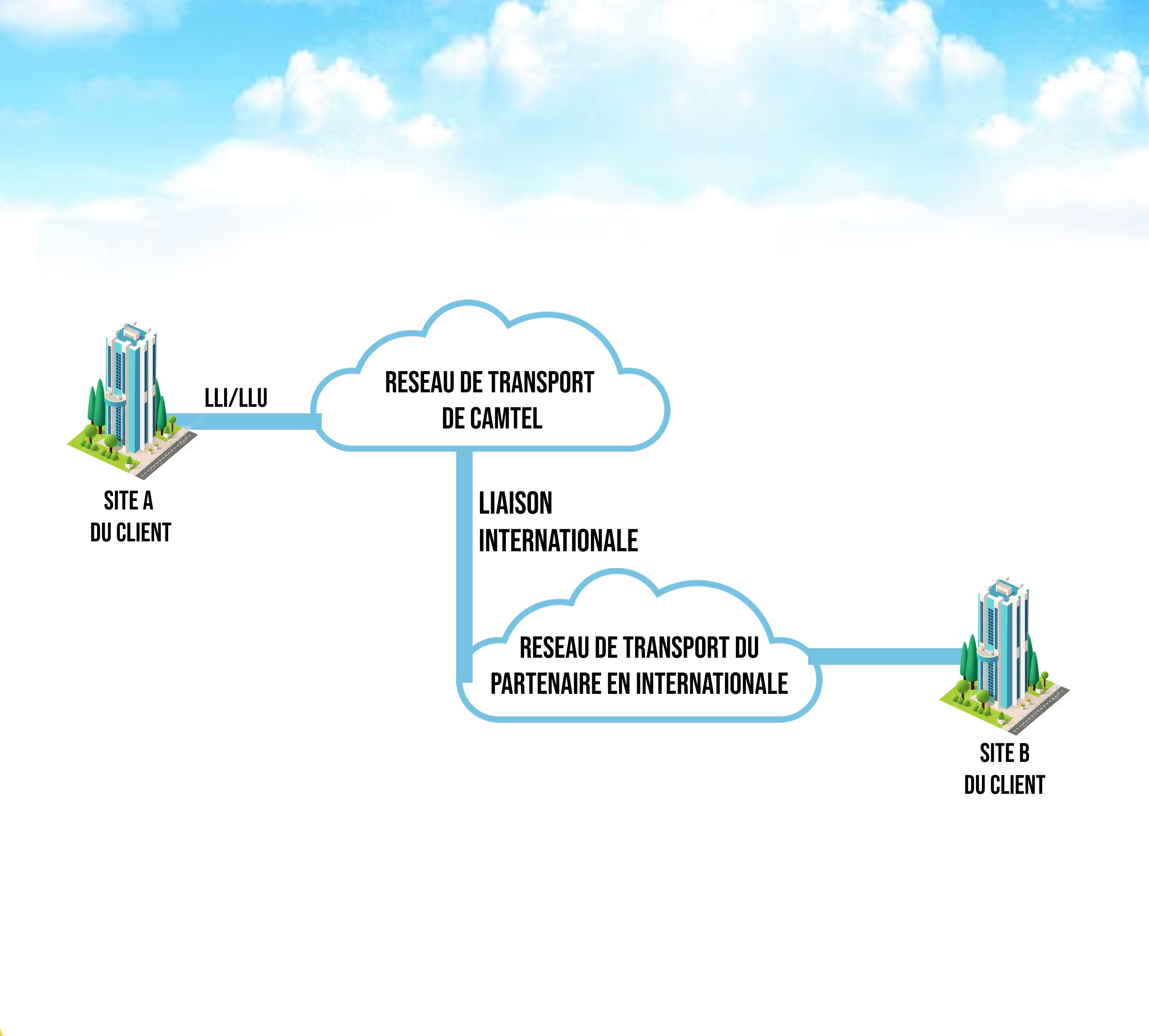 IPLC International Connectivity