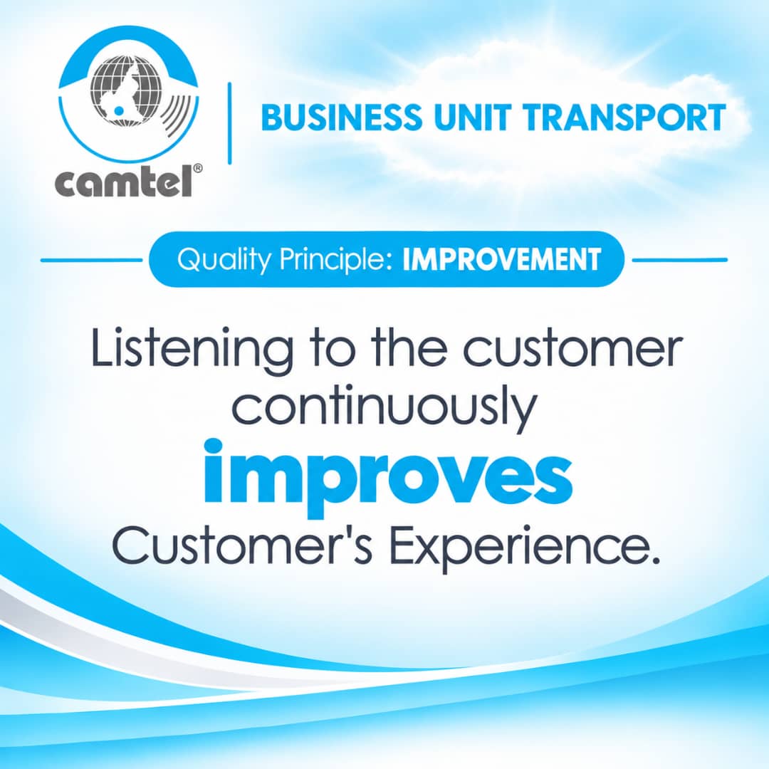 Continuous Improvement at the Service of the Customer Experience